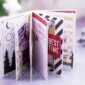 Minialbum aus Karten-Sortiment Frohes Fest 02