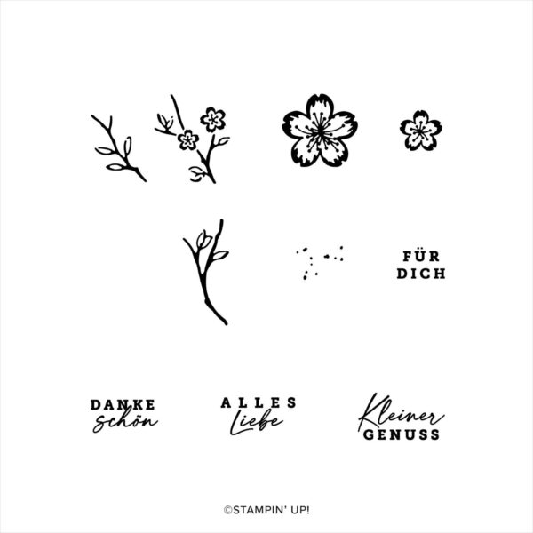 Kreativset zauberhafte Kirschblüten-Schachteln (164980) Kreativset zauberhafte Kirschblüten-Schachteln (164980)