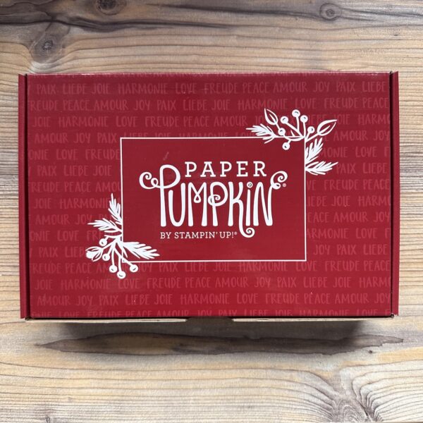 Paper Pumpkin Set Feiertage voller Freude DE (155875)