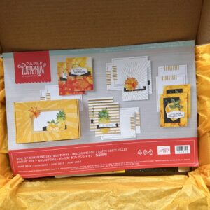 Paper Pumpkin Set Sonne Pur DE (154876)