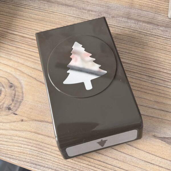 Stanze Nadelbaum (149521)